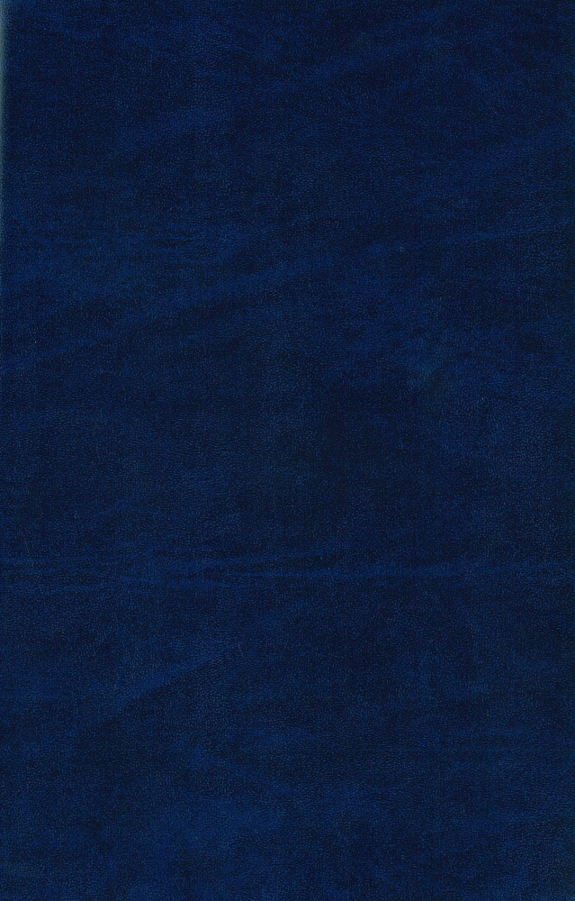 Siml Blu marm 23106